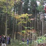 Exkursion in den staatlichen Realwald Ulm-Ermingen